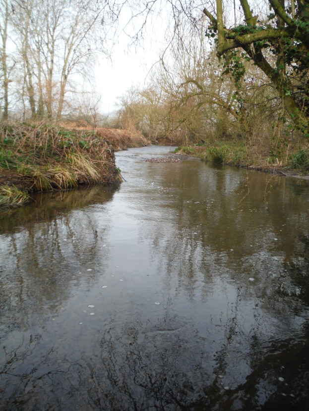 Bideford Brook in winter